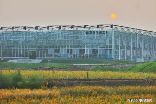 科學(xué)城影像2021 瞬間感動,明天更好